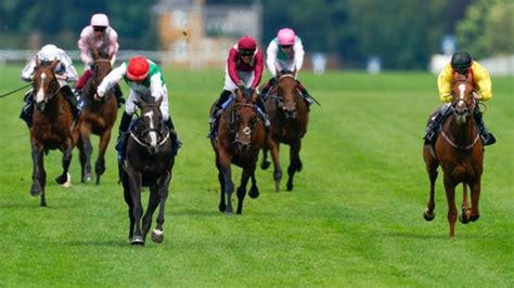 bbc sport. horse. racing